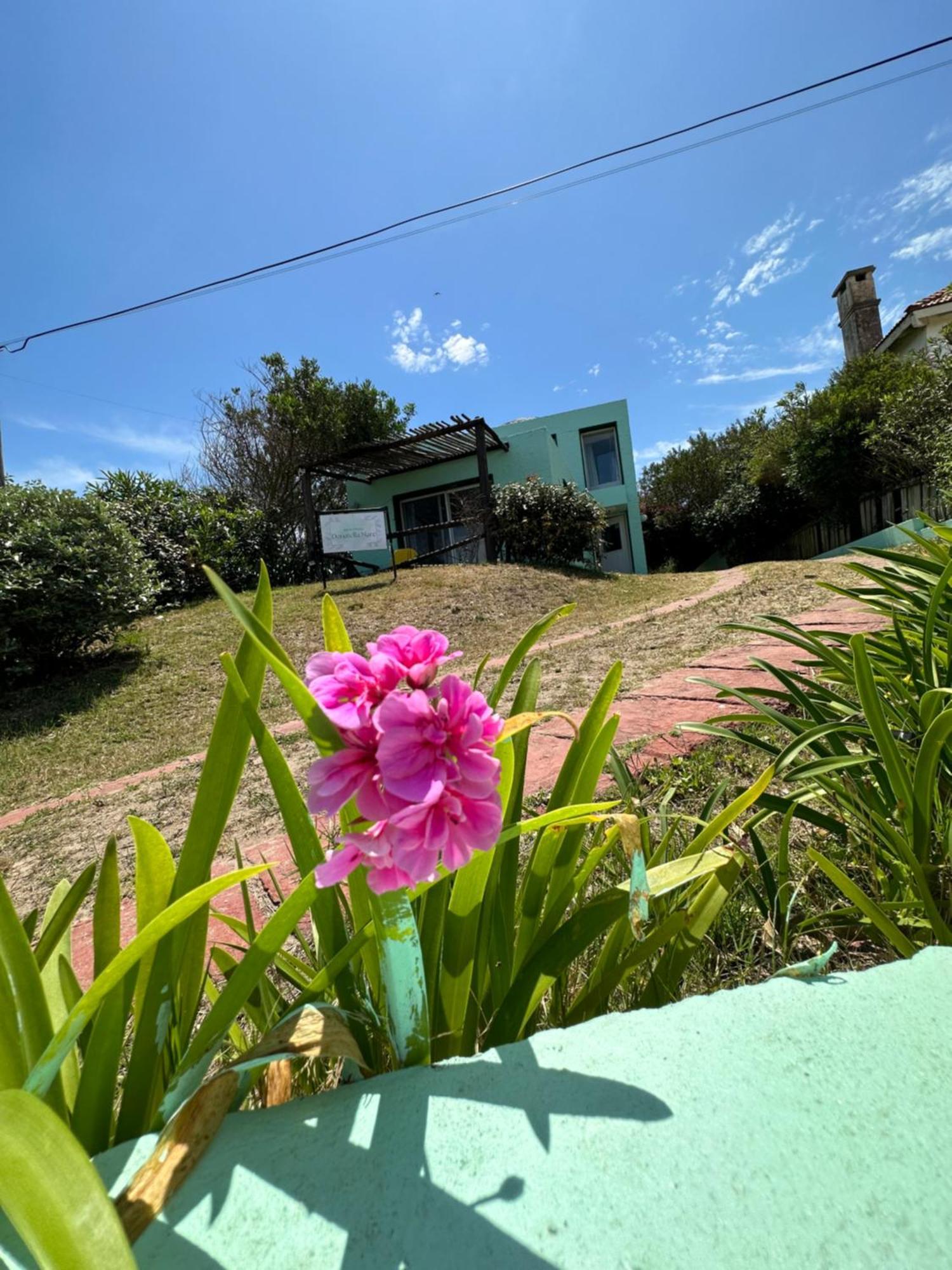 Hotel Beach La Barra Punta del Este Bagian luar foto